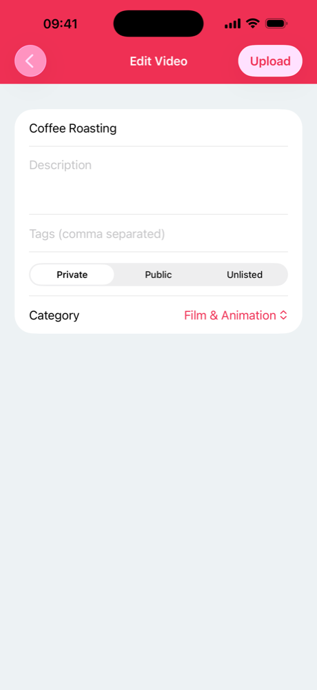 Entering a title, description, tags and visibility